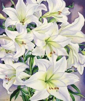 White Lilies