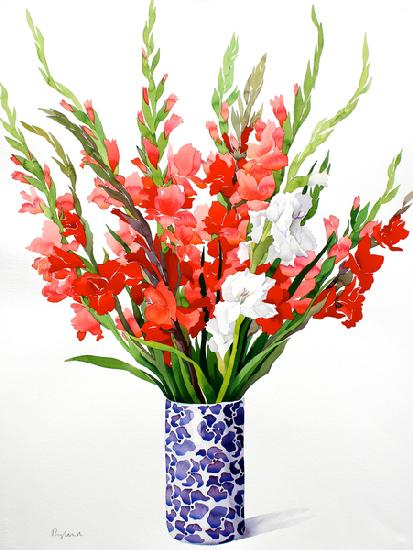 Red and White Gladioli