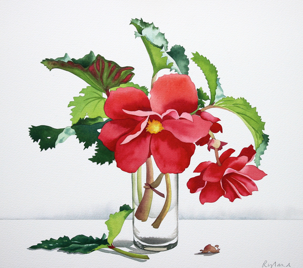 Red Begonia von Christopher  Ryland