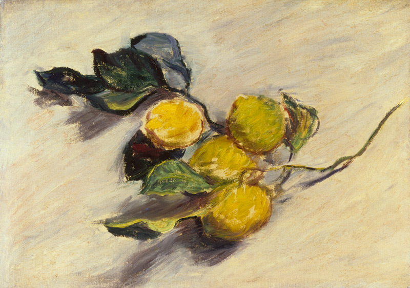 Zweig der Zitronenbaum von Claude Monet