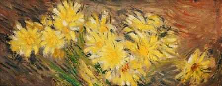 Marguerites Jaunes 1883-84