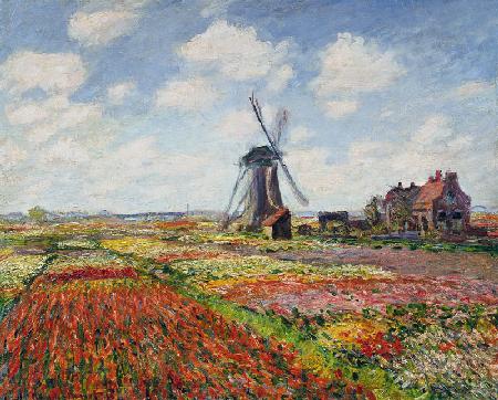 Tulip Fields with the Rijnsburg Windmill 1886