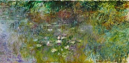 Waterlilies: Morning 1914-18