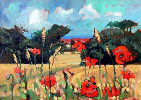 Kent Poppies 2007