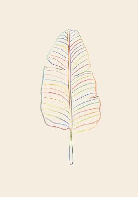 Banana Rainbow Leaf 2020