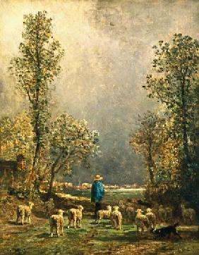 Sheep watching a Storm 19. Jh