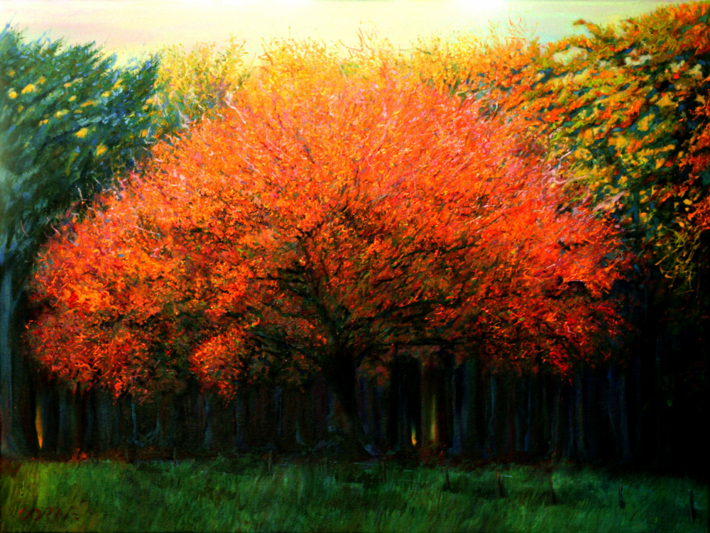 Herbstbaum in Laren (2013) von Corné Akkers
