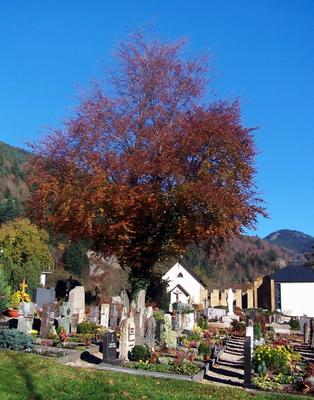 Friedhof von Daum Daniel