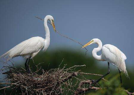 In Verbindung gebracht