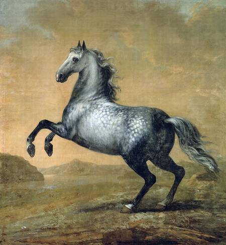 The Little Englishman 's Horse von David Klocker Ehrenstrahl