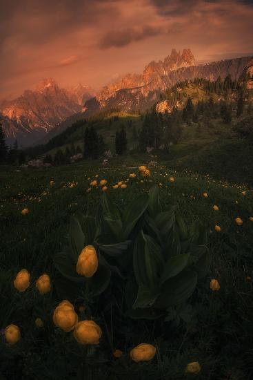 Cinque Torri,Dolomiten