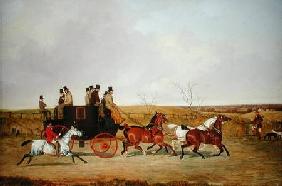 Horse and Carriage