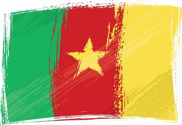 Grunge Cameroon flag von Dawid Krupa