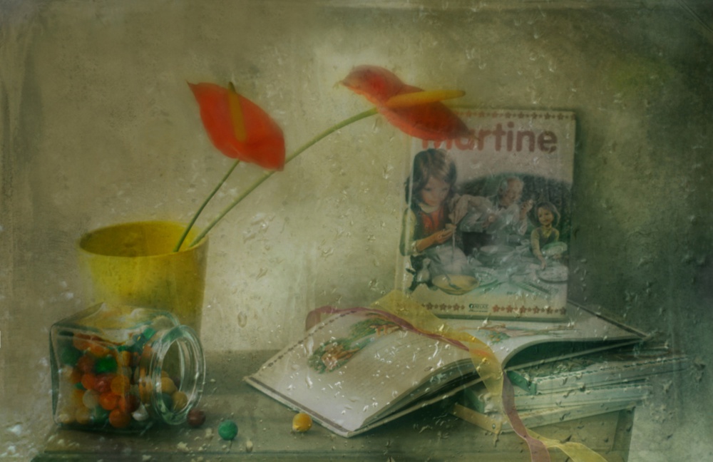 Ein Tag,um zu Hause zu bleiben (Martine) von Delphine Devos