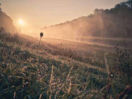 Neue Luppe im Morgennebel, am Auensee Leipzig, Bild 2 2023