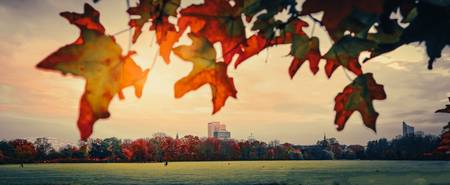 Rosental Leipzig im Herbst, Skyline von Leipzig 2021