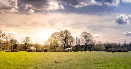 Rosentalwiese Leipzig im Sonnenschein mit Hund, Skyline von Leipzig 2021