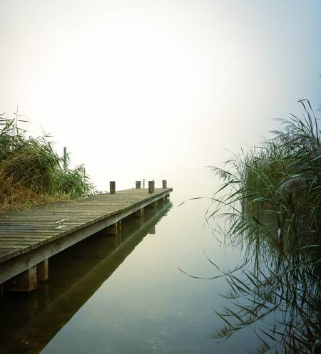 Steg Hainer See bei Leipzig im Nebel und mit Schilf 2021