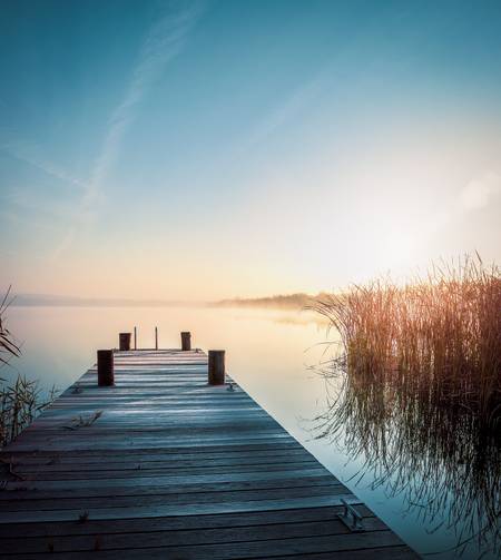 Steg mit Schilf am Hainer See im Sonnenschein 2021