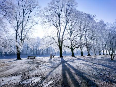 Wintertraum. Licht und Schatten im Winter 2021