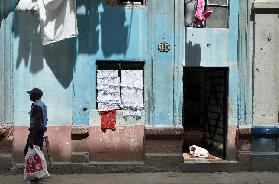 Havana - Guardia 2011