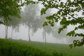 Mai in Großolberdsorf im Erzgebirge 2012