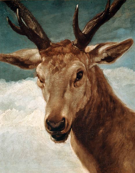 Head of a Stag von Diego Rodriguez de Silva y Velázquez