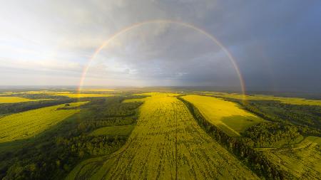 Ein exotischer Blick auf den Regenbogen