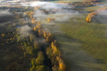 Herbstnebel