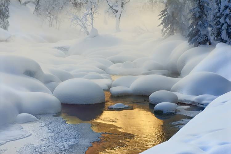 Siberia. -37°C (-35°F) von Dmitry Dubikovskiy