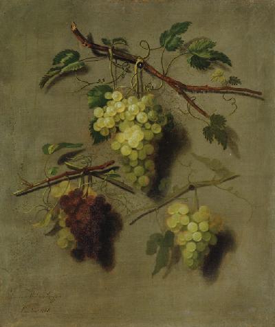 Still Life 1738