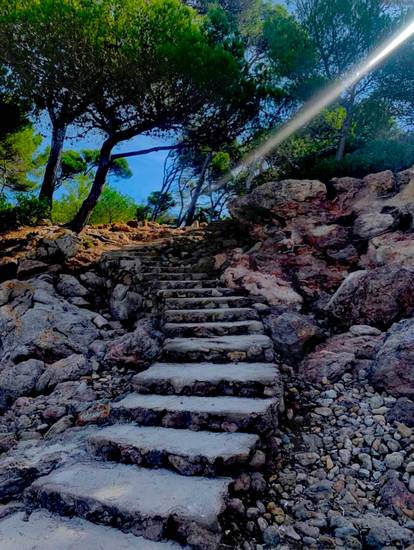 Treppe aus Stein am Strand unter Pinien 2022