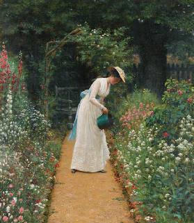 My Lady's Garden 1905