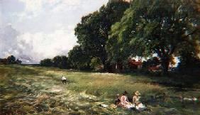 Hayfield at Danbury, Essex 1890