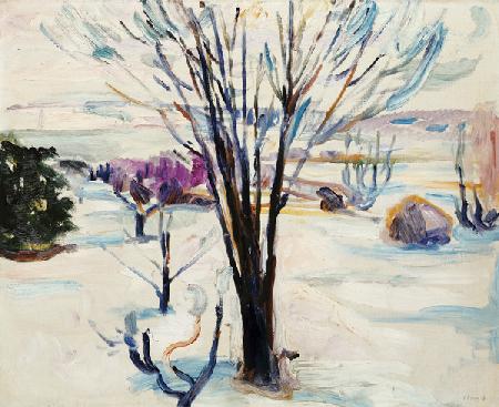 Winterlandschaft in Jeløya 1912