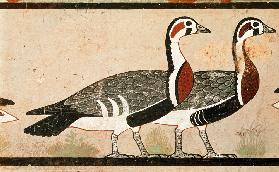 Meidum geese, from the Tomb of Nefermaat and Atet, Old Kingdom C27th BC
