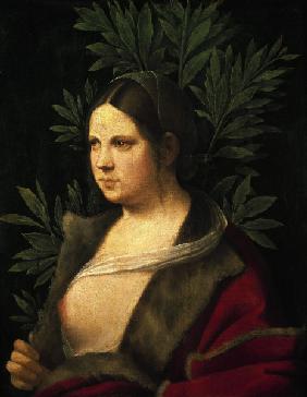 zu Petrarca,  Laura