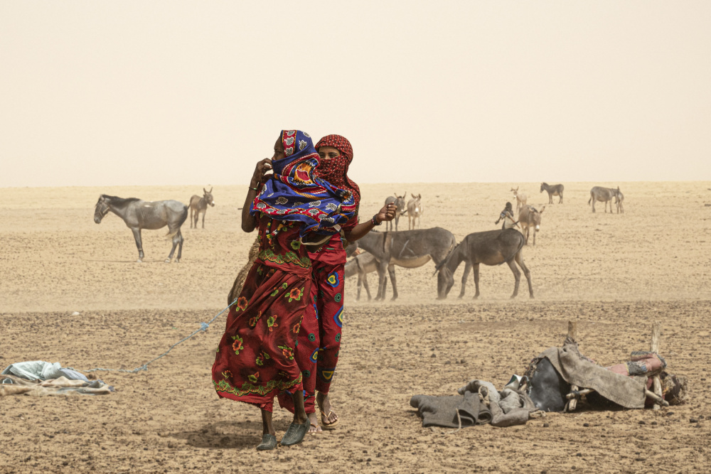 um einen Brunnen in der Borkou-Wüste,Tschad von Elena Molina