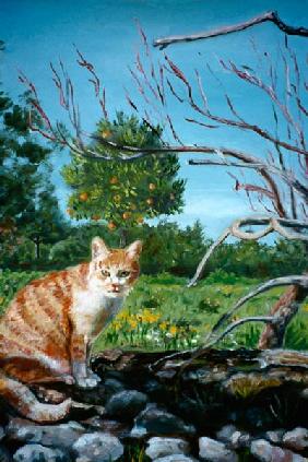 Katze vor Orangenbaum 1998