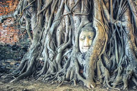 Ayutthaya Temple 2015