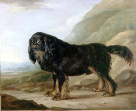 A King Charles Spaniel in a Landscape von English School