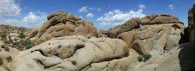 Wonderland of Rocks - Joshua Tree NP