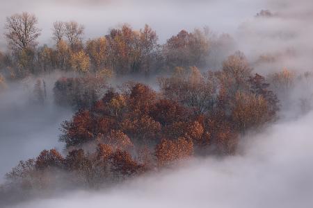 Herbstdetail