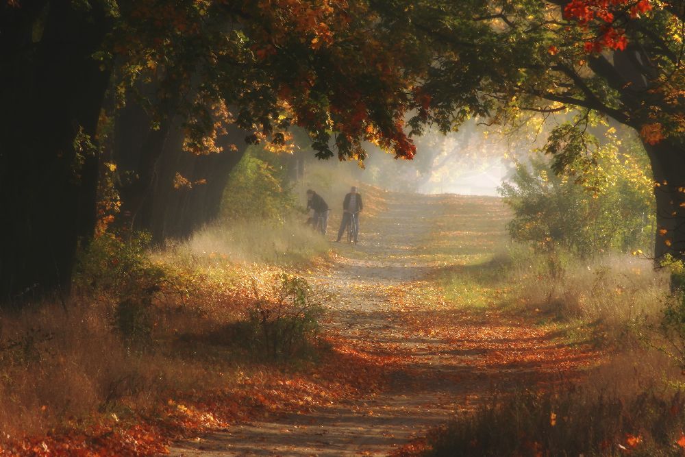 Herbst von Przemyslaw Kruk fproject