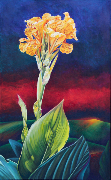 Yellow Canna Lily von Frances Ferdinands