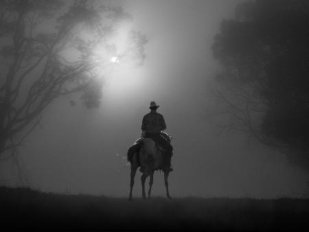 Reiten im Morgennebel