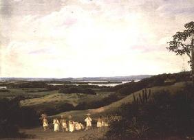 Panoramic View in Brazil with a River in the Distance  (pair of 61465)