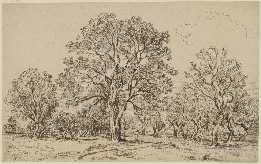 Gruppe von hohen Bäumen von Franz Innocenz Josef Kobell