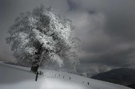 Schneeweg