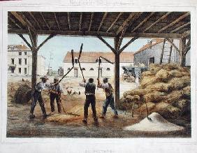 Threshing corn, illustration from a school textbook 'Enseignement par les yeux', 2nd half 19th centu C19th